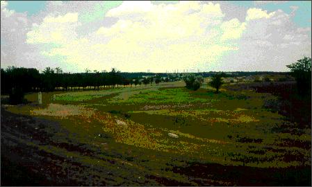 Borodino