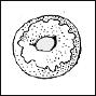 donut