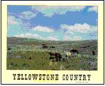 Yellowstone