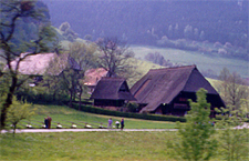 roofs