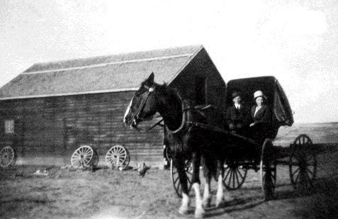 carriage pic